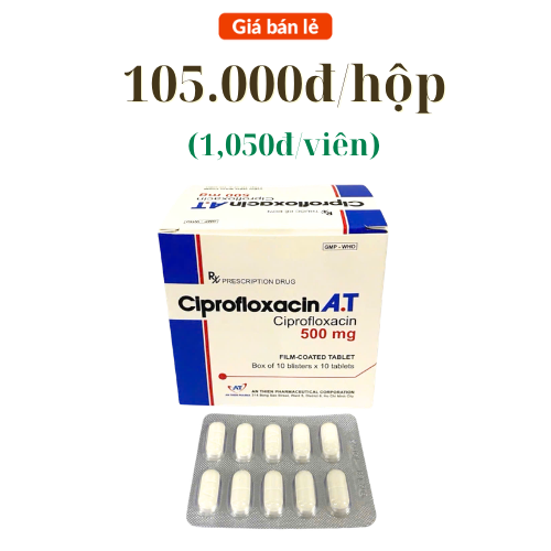 Ciprofloxacin A.T 500mg An Thiên